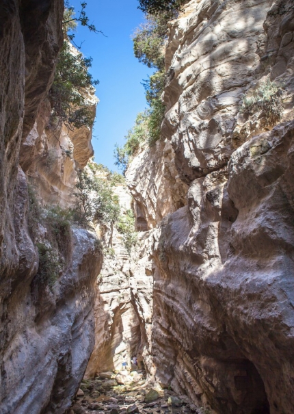 Ущелье Авакас на полуострове Акамас на Кипре