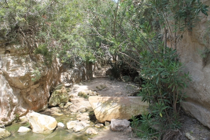 Природная тропа "Ущелье Авакас"