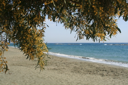 Муниципальный пляж Гармония в Лимассоле весной