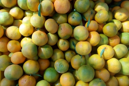 Кипрские мандарины