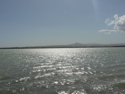 Соляное озеро в мае