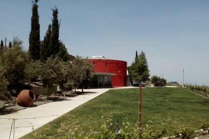 Винодельня Аис Амбелис на Кипре