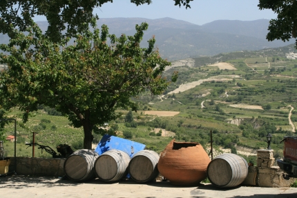 Винодельня Линос в деревне Омодос