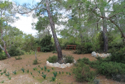 Место для пикника Пикни рядом с деревней Пейя на Кипре