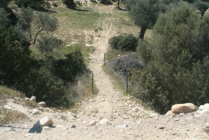 Каменный мост через реку Аспрос на Кипре