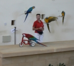 Шоу попугаев в зоопарке Пафоса