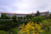 Отель Rodon Hotel & Resort  в деревне Агрос