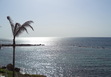Солнечная погода на Кипре в январе
