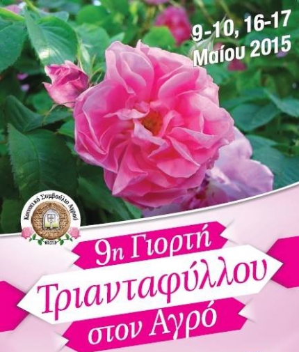 Девятый фестиваль роз в деревне Агрос на Кипре