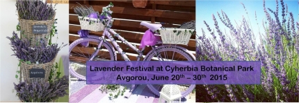 Лавандовый фестиваль в ботаническом саду Cyherbia на Кипре