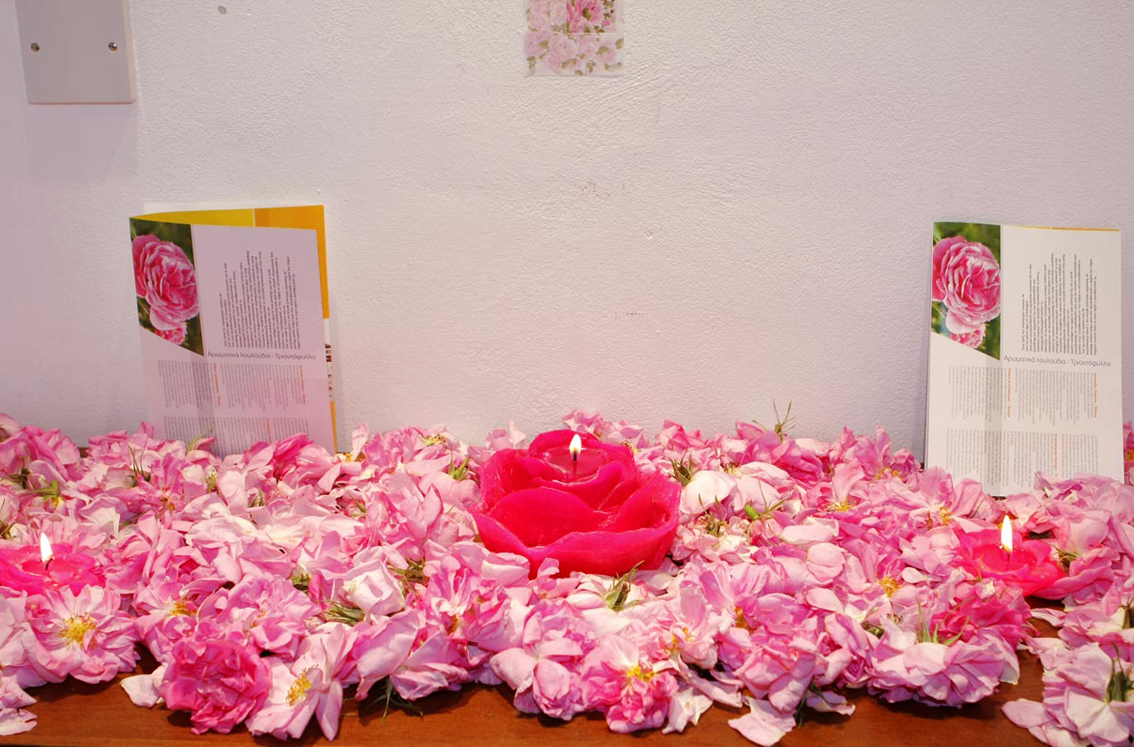 Фестиваль роз в деревне Агрос