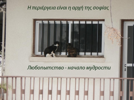 Пословица на греческом языке с переводом на русский