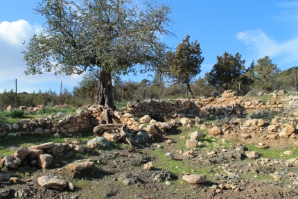 Развалины башни Регины на полуострове Акамас