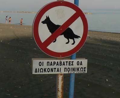 Знаков, запрещающих присутствие кошек, на Кипре нет