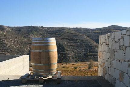 Кипрская винодельня Власидис