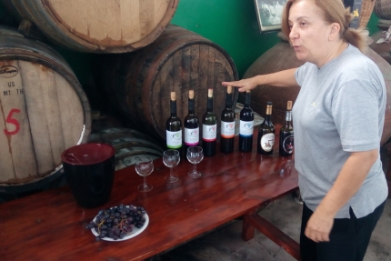 Винодельня Карсерас в деревне Дорос