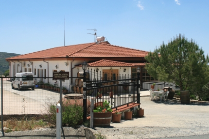 Винодельня Зенон на Кипре