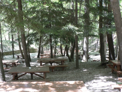 Место для пикника Платания в горах Троодос