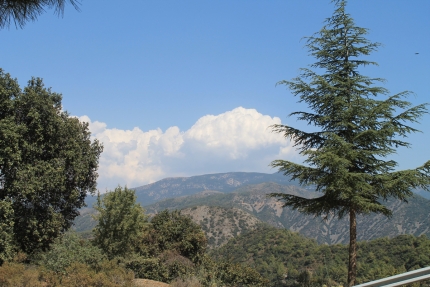 Погода на Кипре в июле